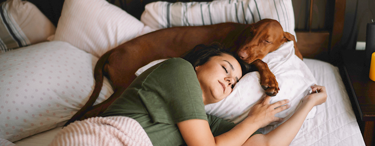 Frau schläft im Bett, ihr Hund liegt neben ihr.