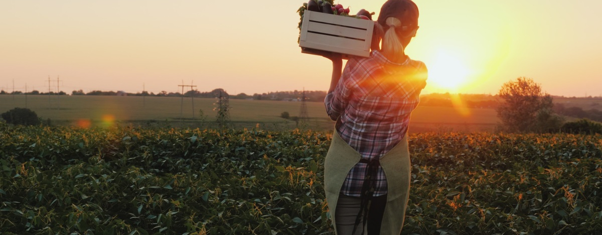 Farmerin trägt Kiste mit frisch geerntetem Gemüse auf der Schulter