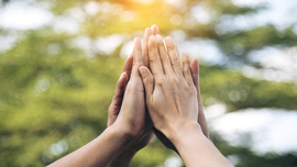 Fünf Hände geben sich high-five