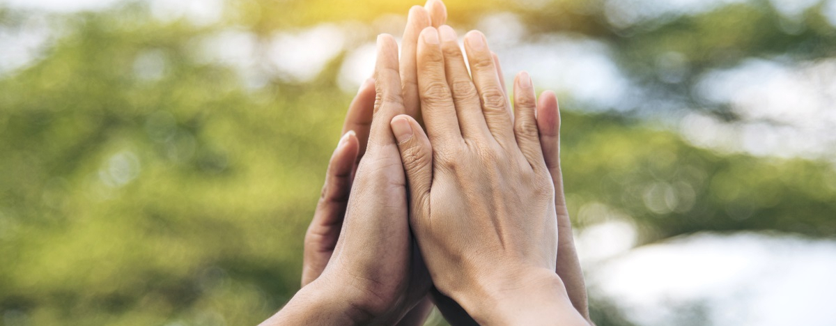 Fünf Hände geben sich high-five