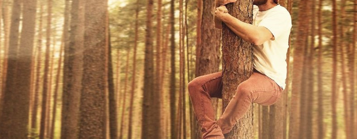 Mann mit roter Mütze küsst einen Baum im Wald.