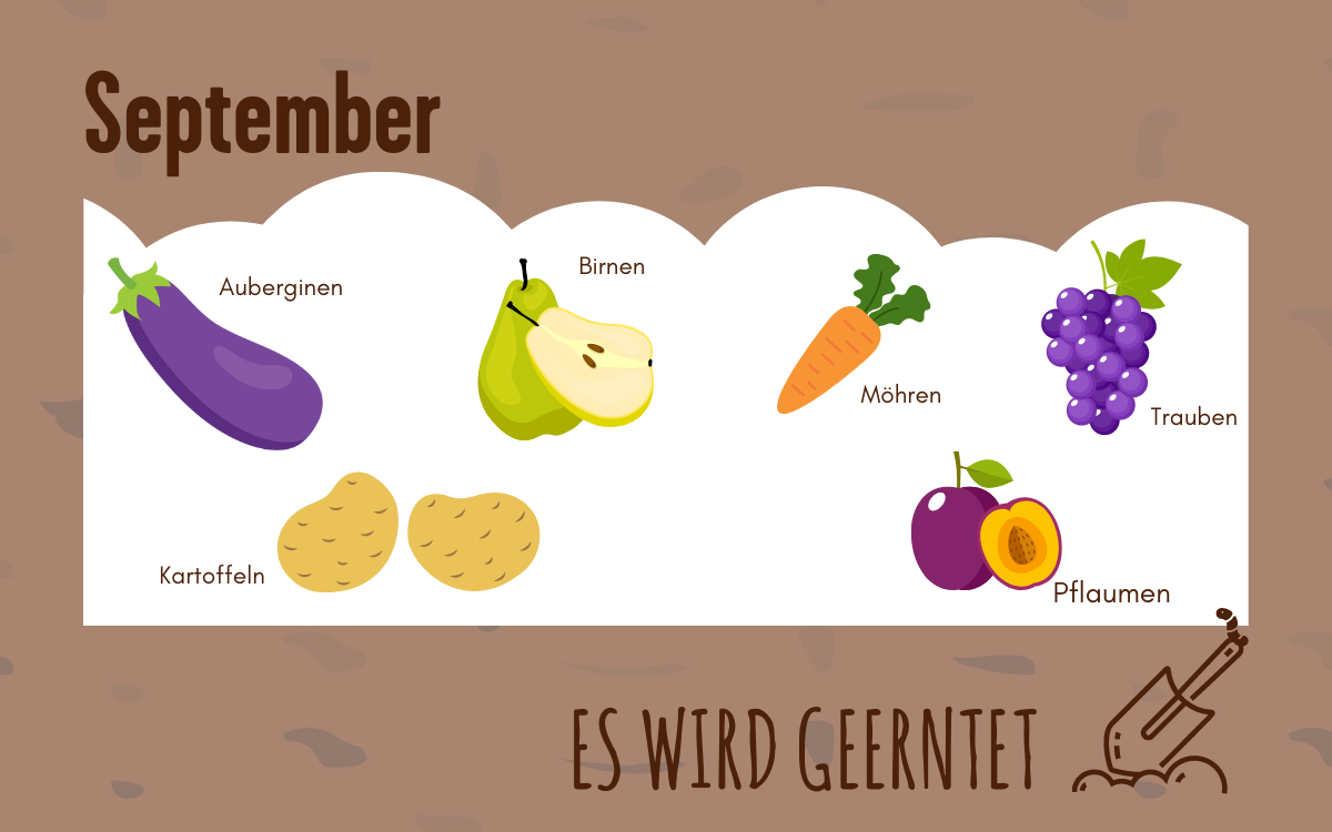 Grafik von verschiedenen saisonalen Obst- und Gemüsesorten