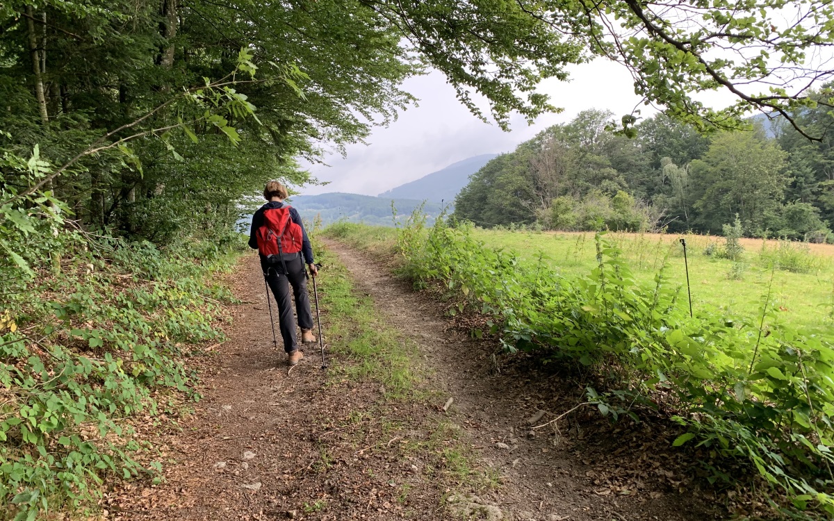 Frau geht mit Nordic-Walking-Stöcken durch den Wald