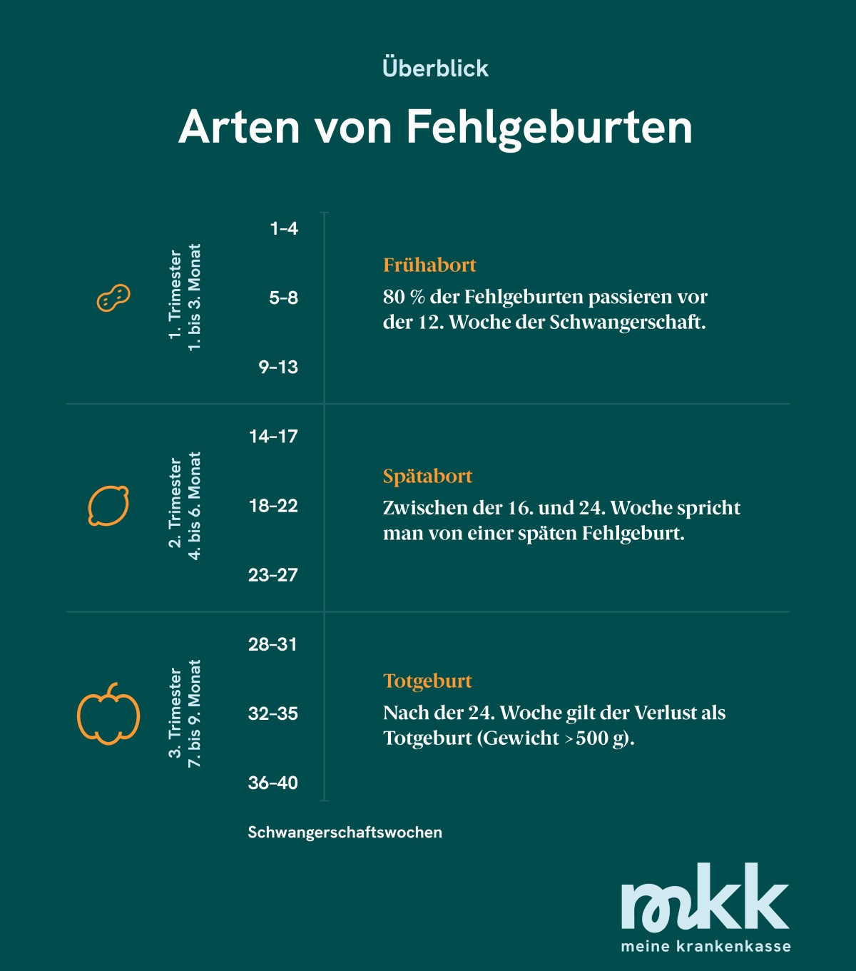 Grafik, die beschreibt, welche Arten von Fehlgeburten es gibt