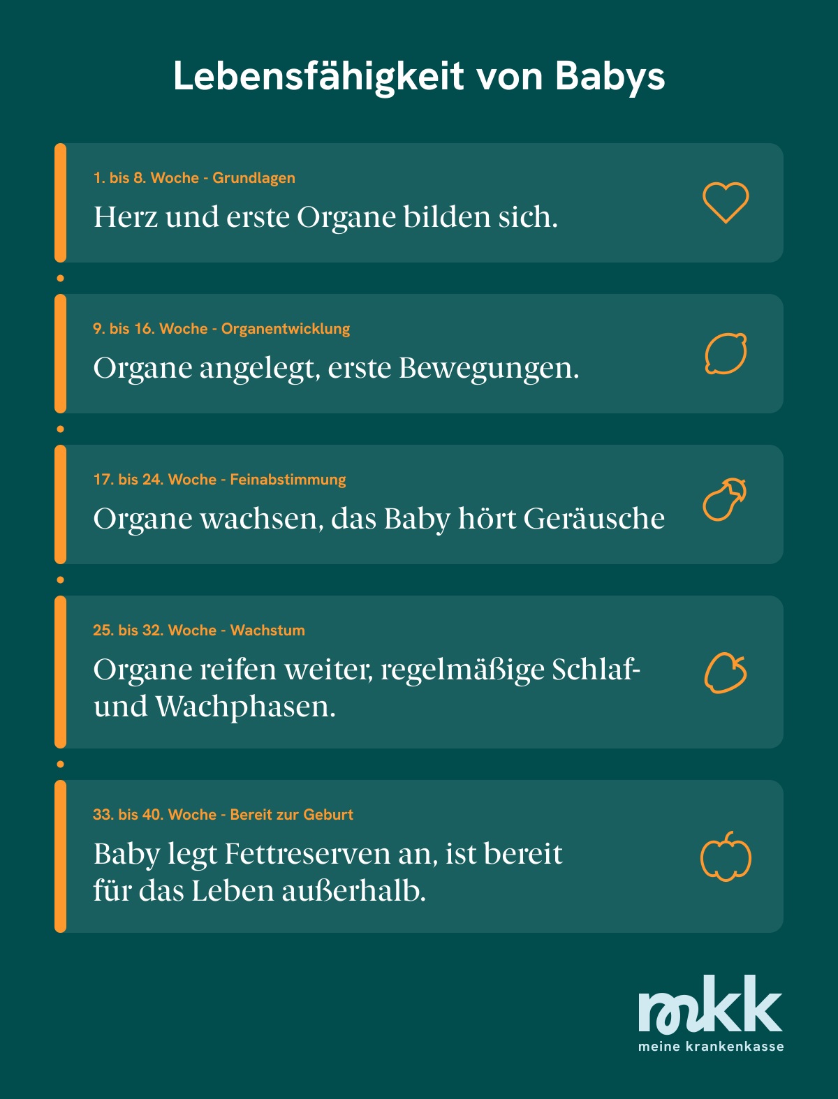 Grafik, die zeigt, welche Stadien eine Schwangerschaft durchläuft